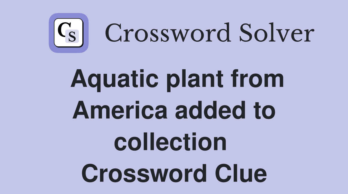 Aquatic plant from America added to collection  Crossword Clue