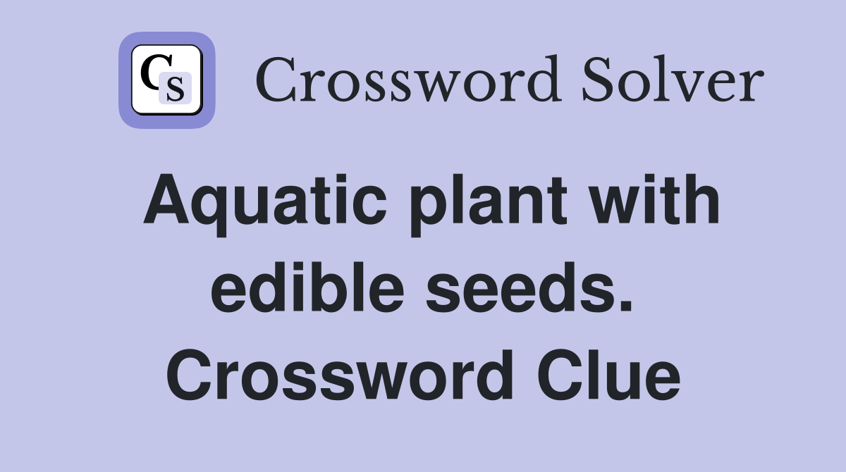 Aquatic plant with edible seeds. Crossword Clue