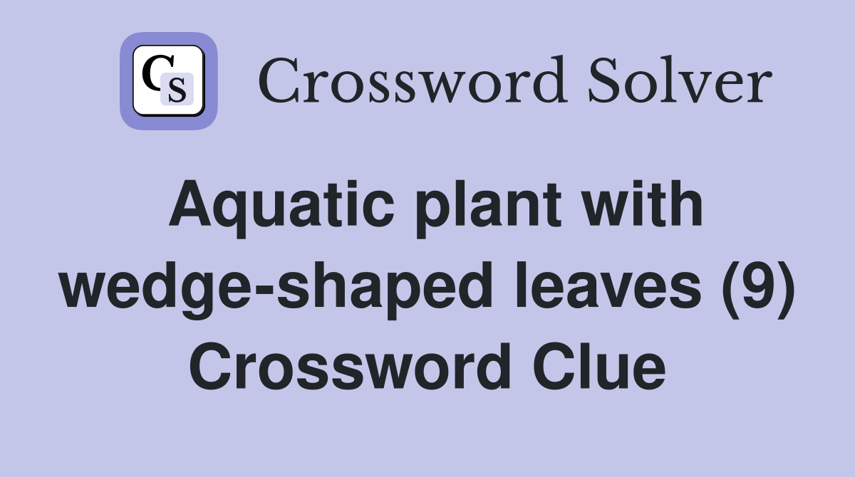 Aquatic plant with wedge-shaped leaves (9) Crossword Clue
