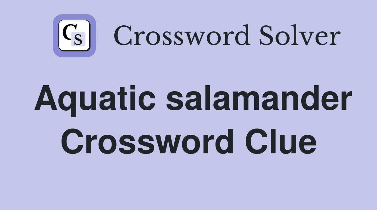 Aquatic salamander Crossword Clue