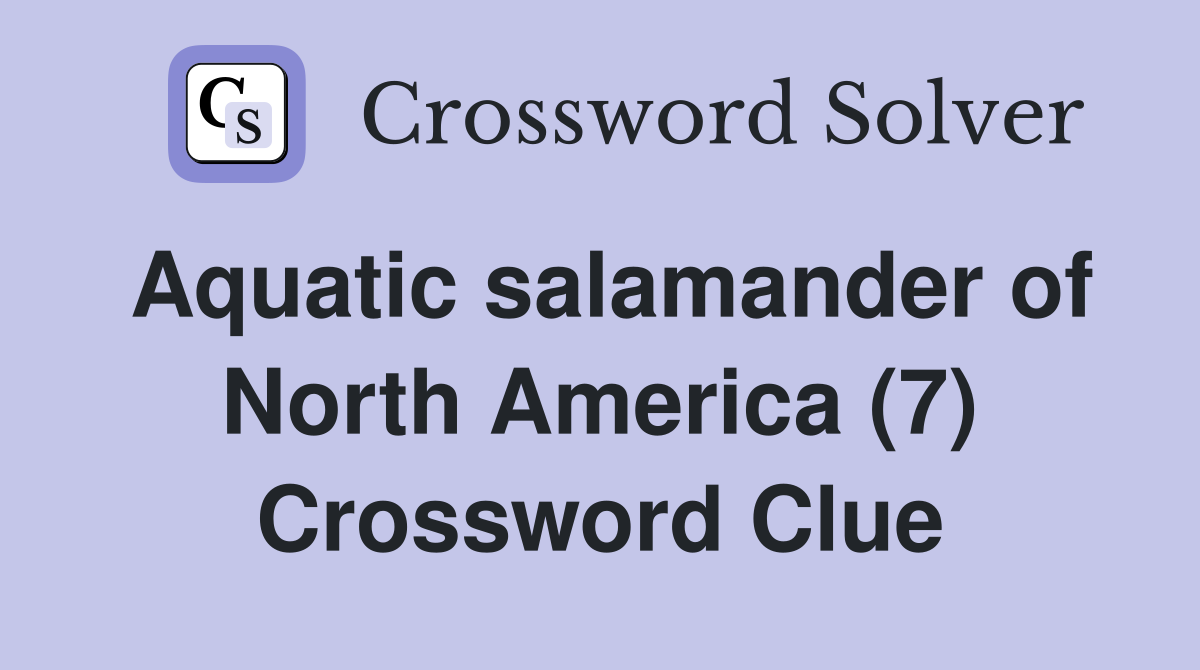 Aquatic salamander of North America (7) Crossword Clue