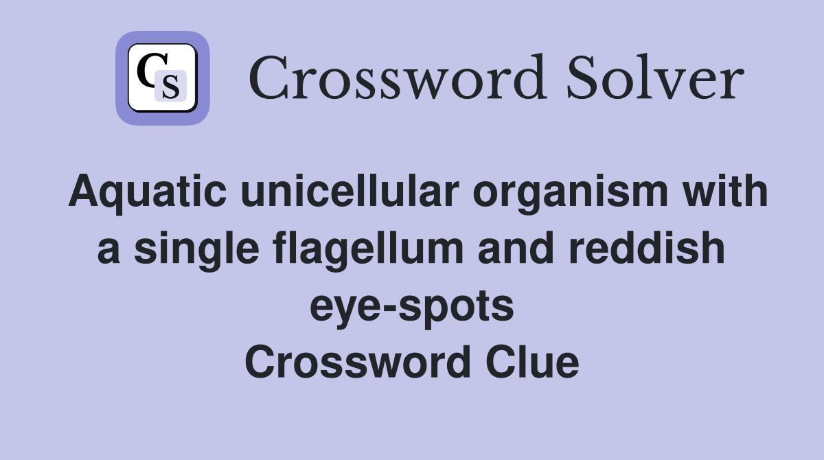 Aquatic unicellular organism with a single flagellum and reddish eye-spots Crossword Clue