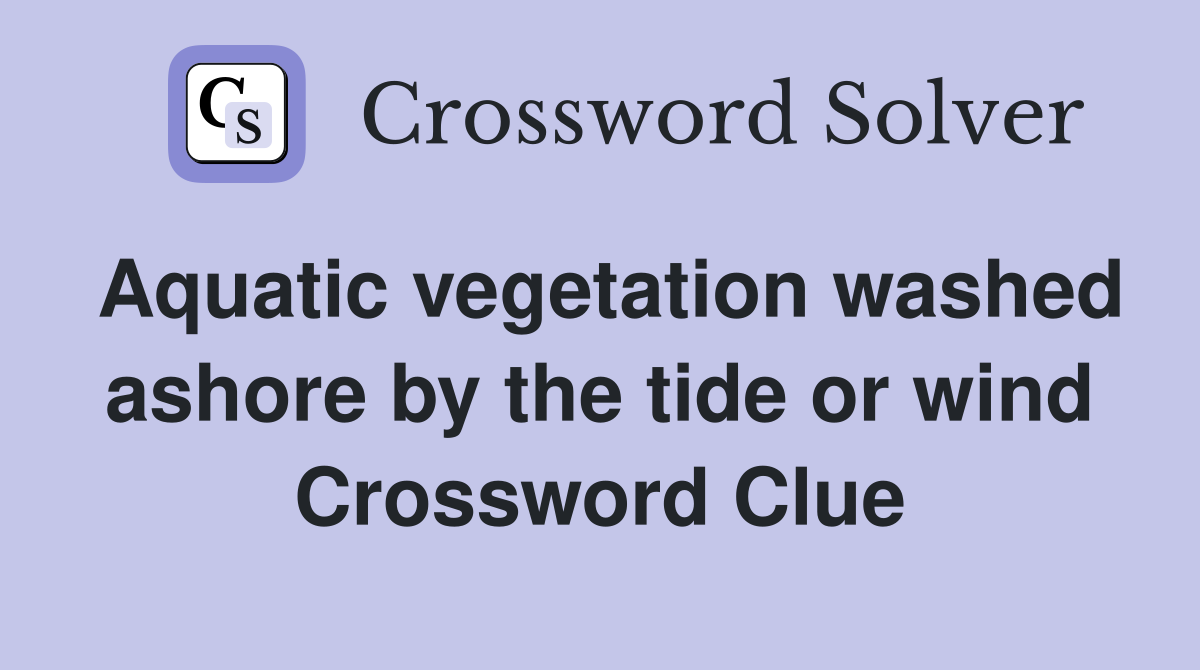 Aquatic vegetation washed ashore by the tide or wind Crossword Clue