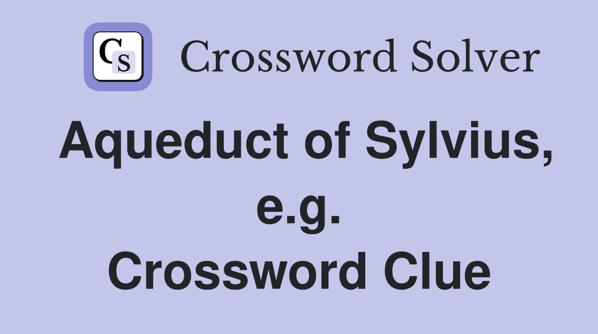 Aqueduct of Sylvius, e.g. Crossword Clue