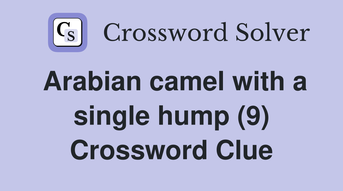 Arabian camel with a single hump (9) Crossword Clue
