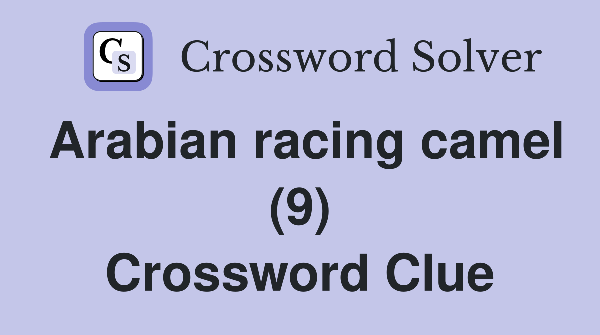 Arabian racing camel (9) Crossword Clue
