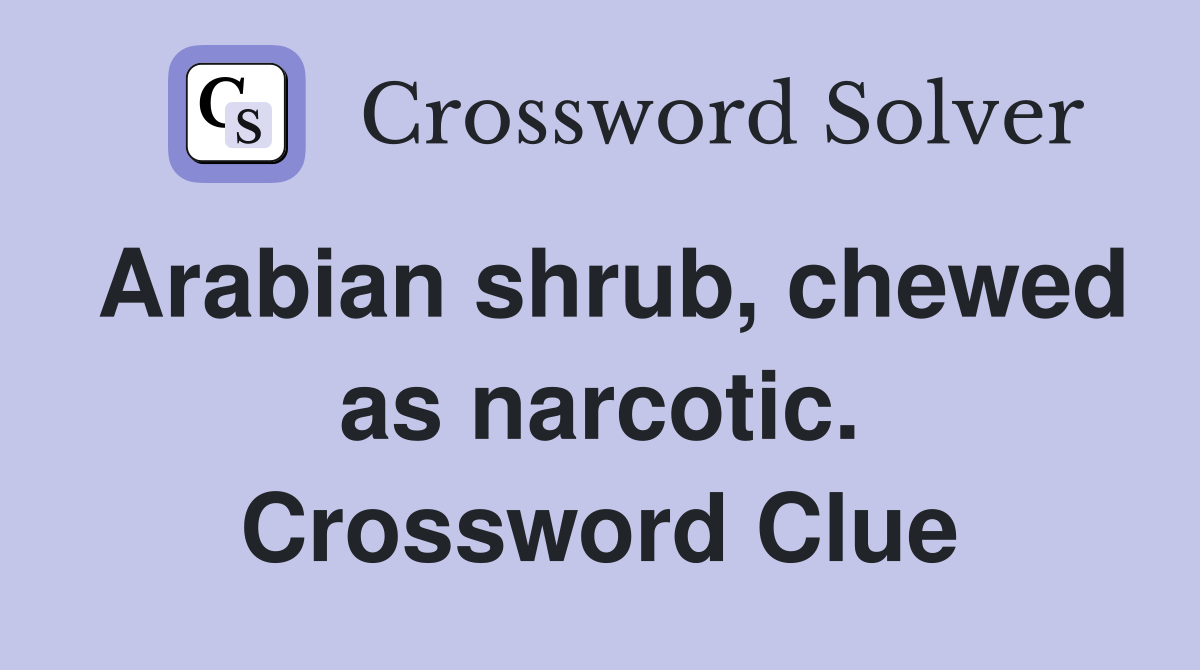 Arabian shrub, chewed as narcotic. Crossword Clue
