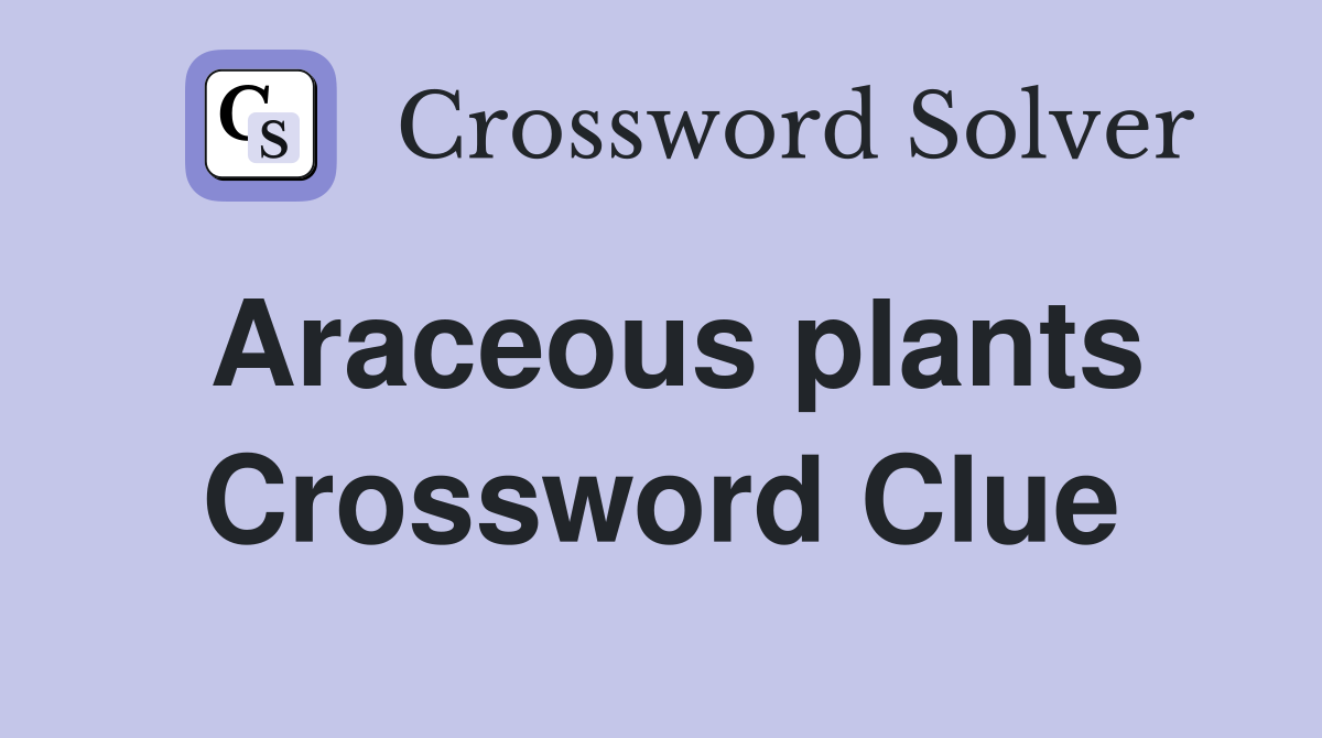 Araceous plants Crossword Clue