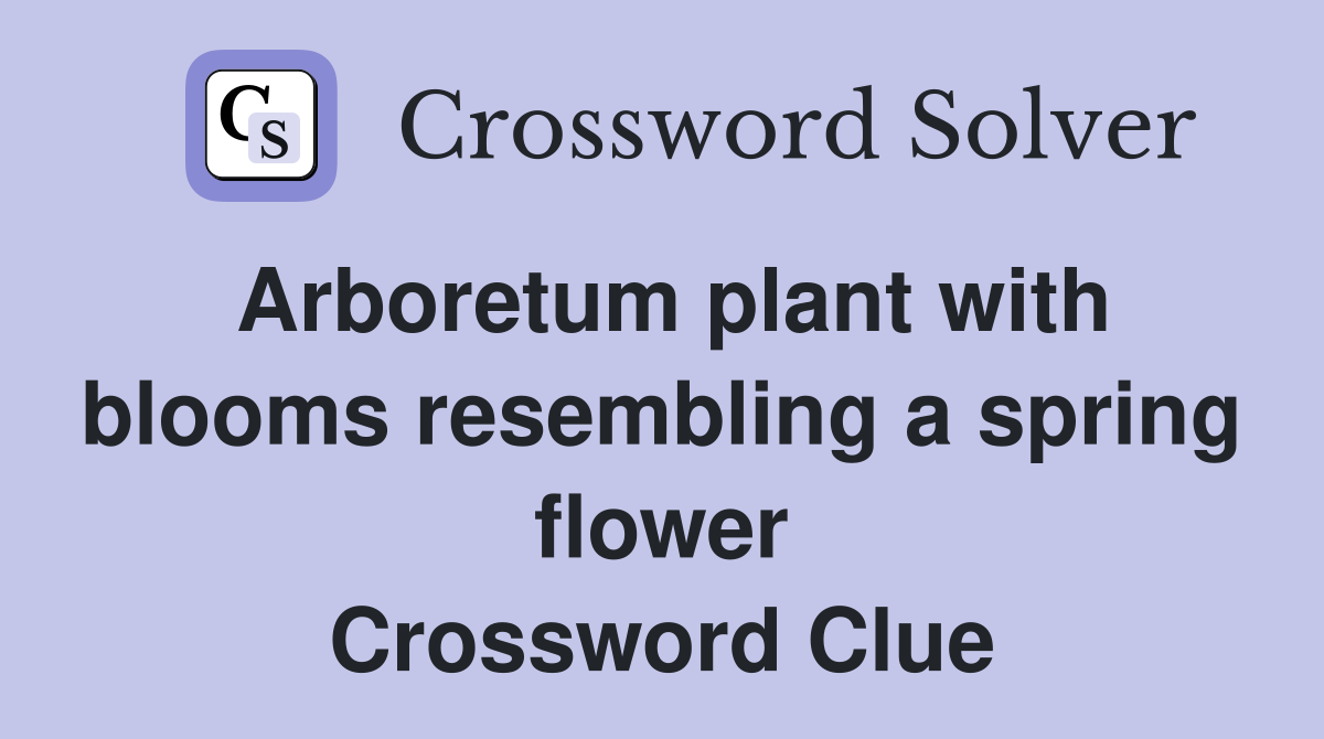 Arboretum plant with blooms resembling a spring flower Crossword Clue