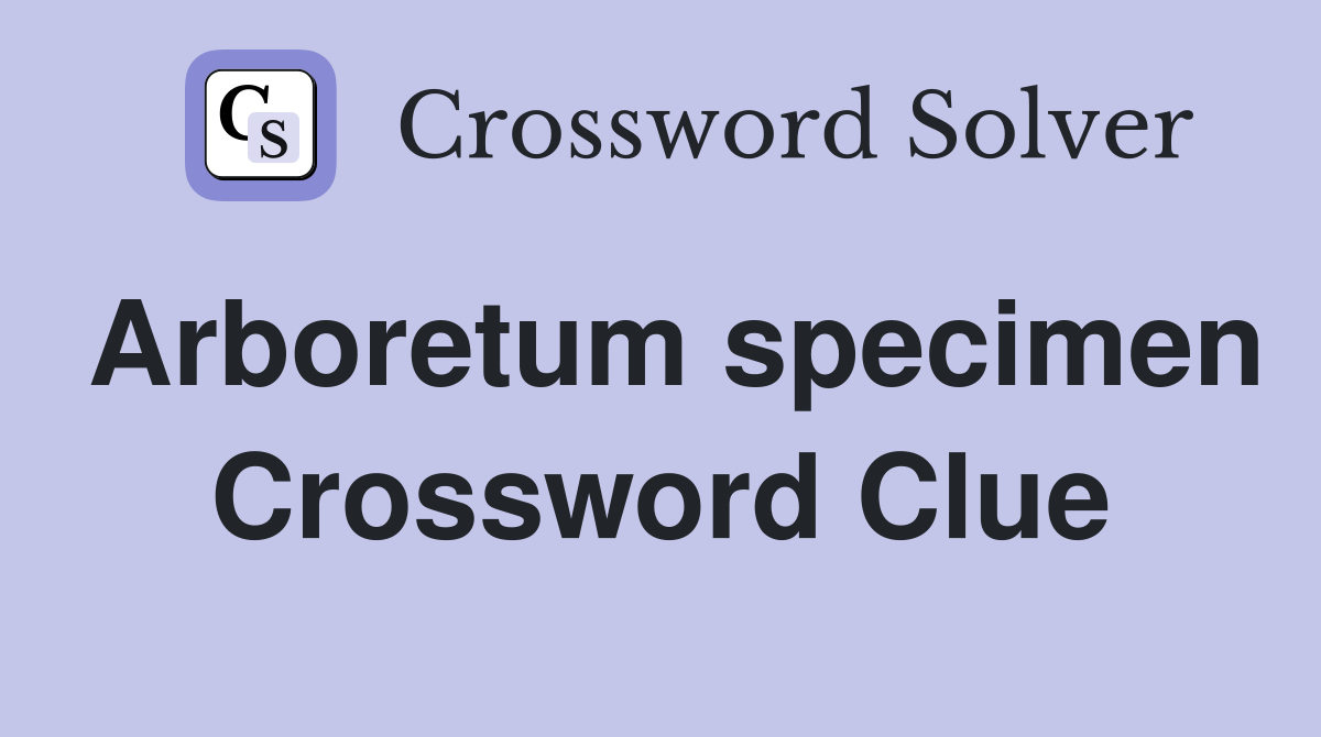 Arboretum specimen Crossword Clue