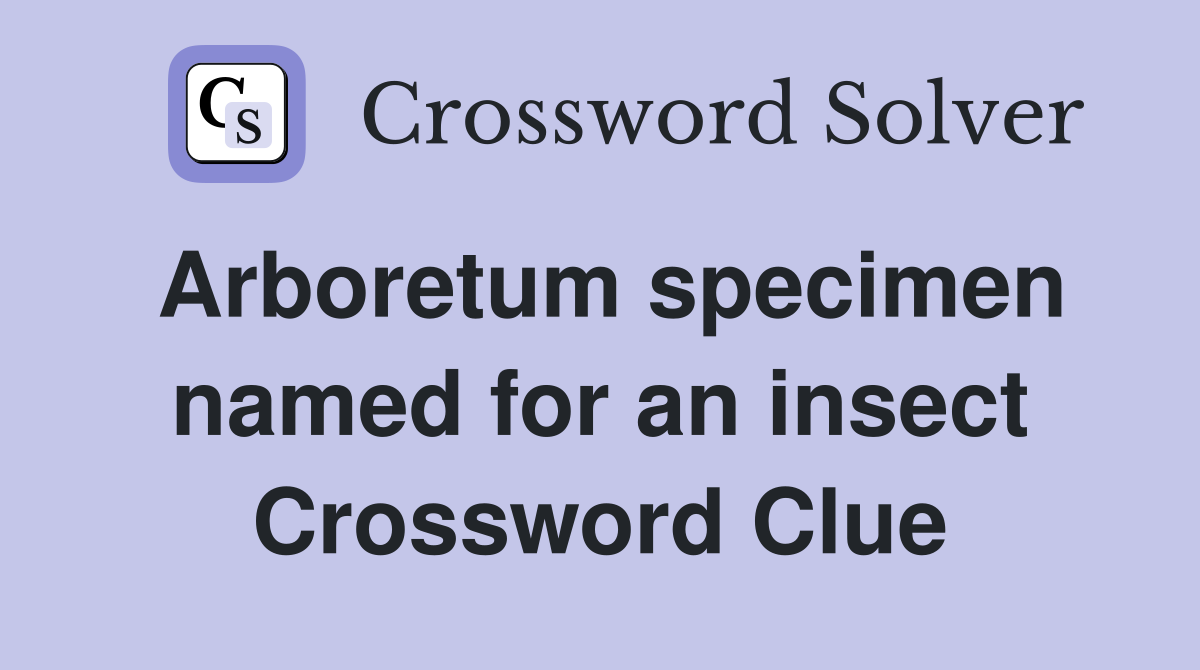 Arboretum specimen named for an insect Crossword Clue