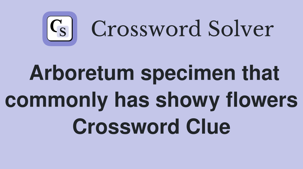 Arboretum specimen that commonly has showy flowers Crossword Clue