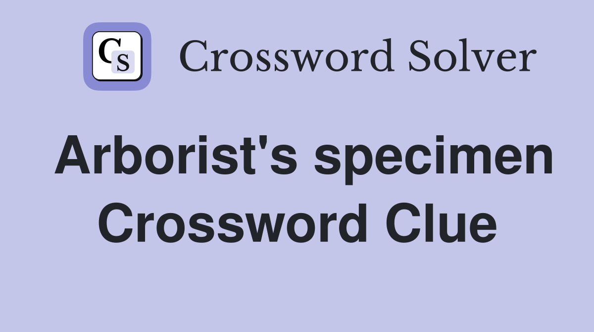 Arborist's specimen Crossword Clue