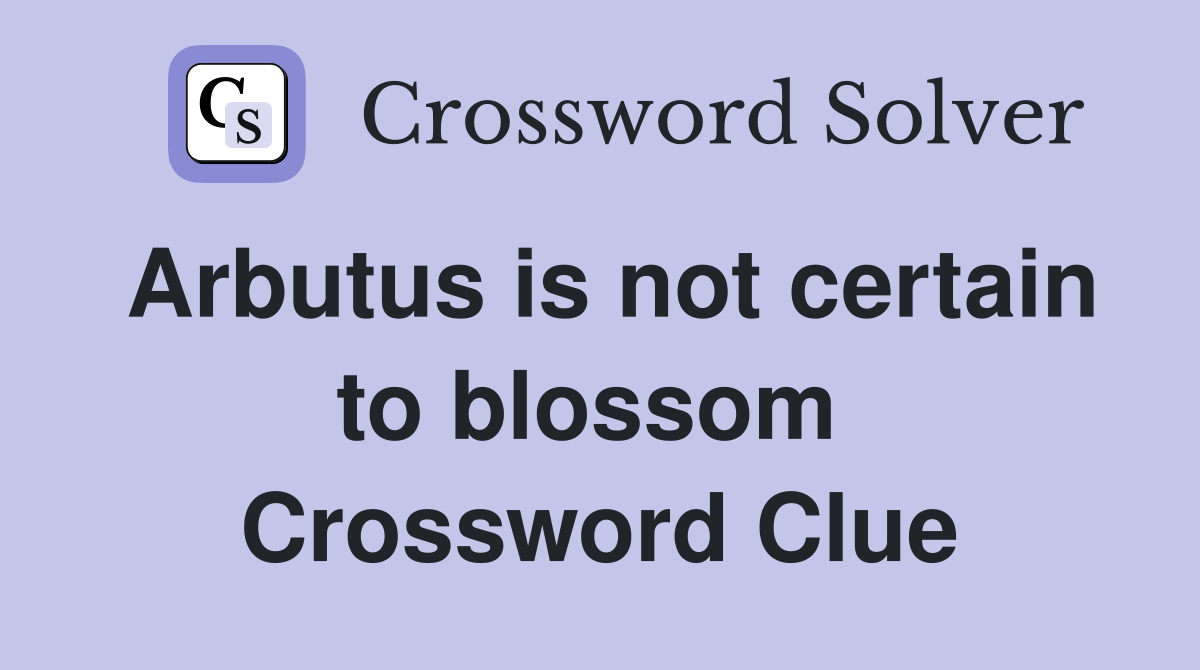 Arbutus is not certain to blossom  Crossword Clue