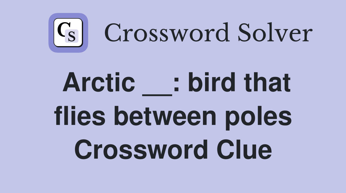 Arctic __: bird that flies between poles Crossword Clue