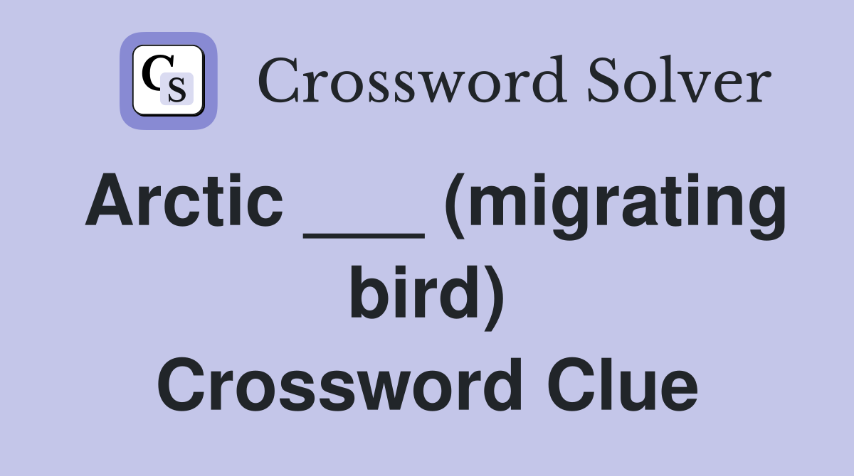 Arctic ___ (migrating bird) Crossword Clue