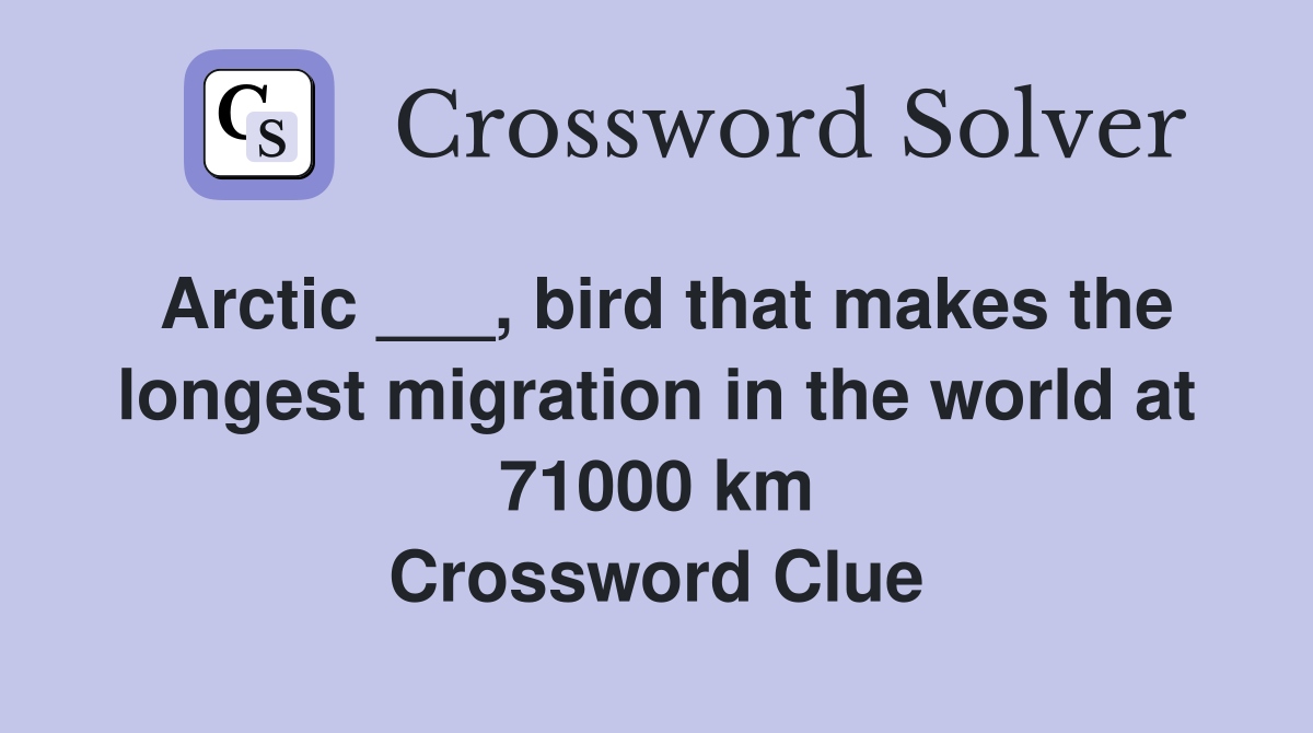 Arctic ___, bird that makes the longest migration in the world at 71000 km Crossword Clue