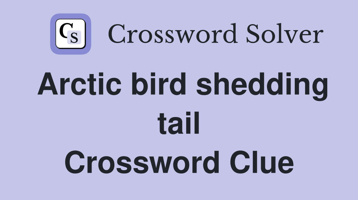 Arctic bird shedding tail Crossword Clue