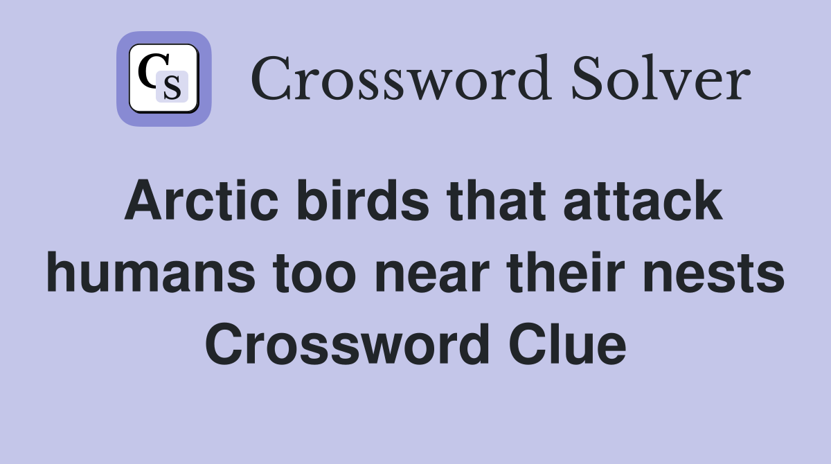 Arctic birds that attack humans too near their nests Crossword Clue