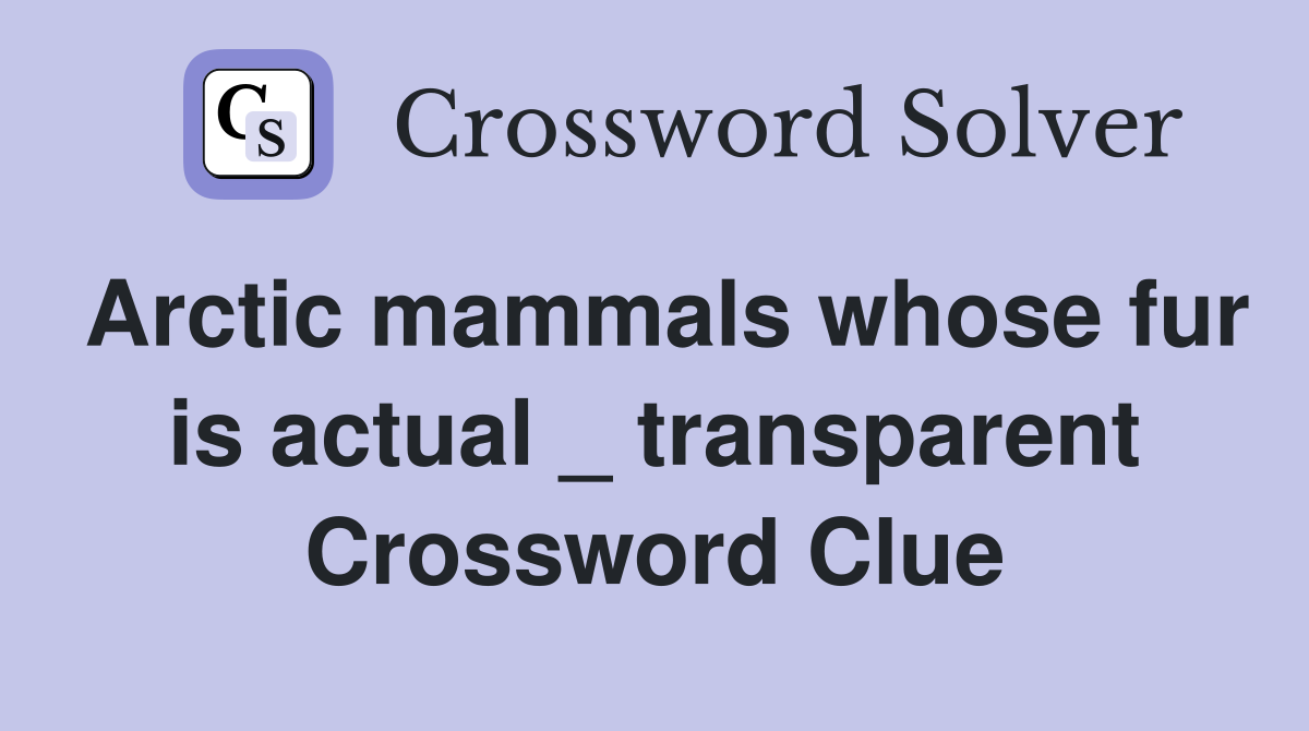 Arctic mammals whose fur is actual _ transparent Crossword Clue