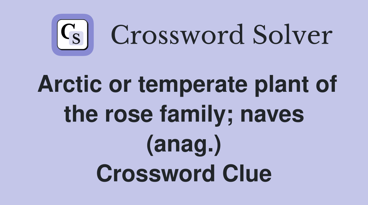 Arctic or temperate plant of the rose family; naves (anag.) Crossword Clue