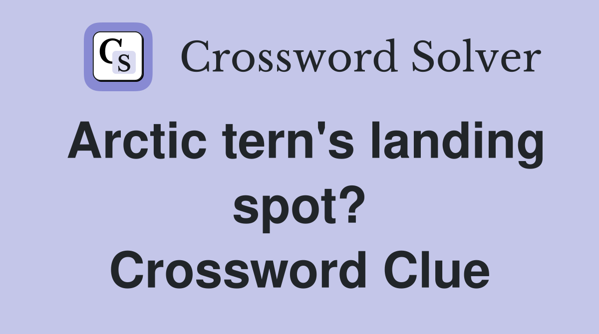 Arctic tern's landing spot? Crossword Clue