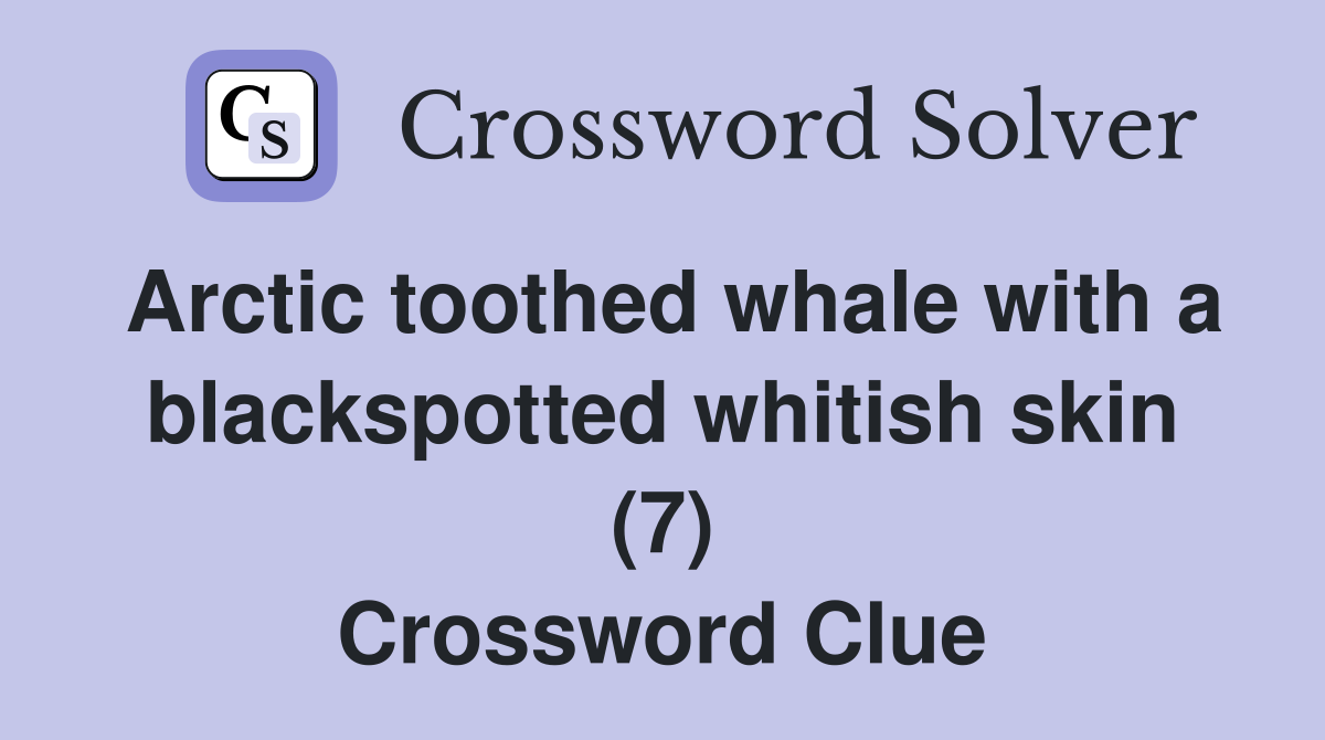 Arctic toothed whale with a blackspotted whitish skin (7) Crossword Clue