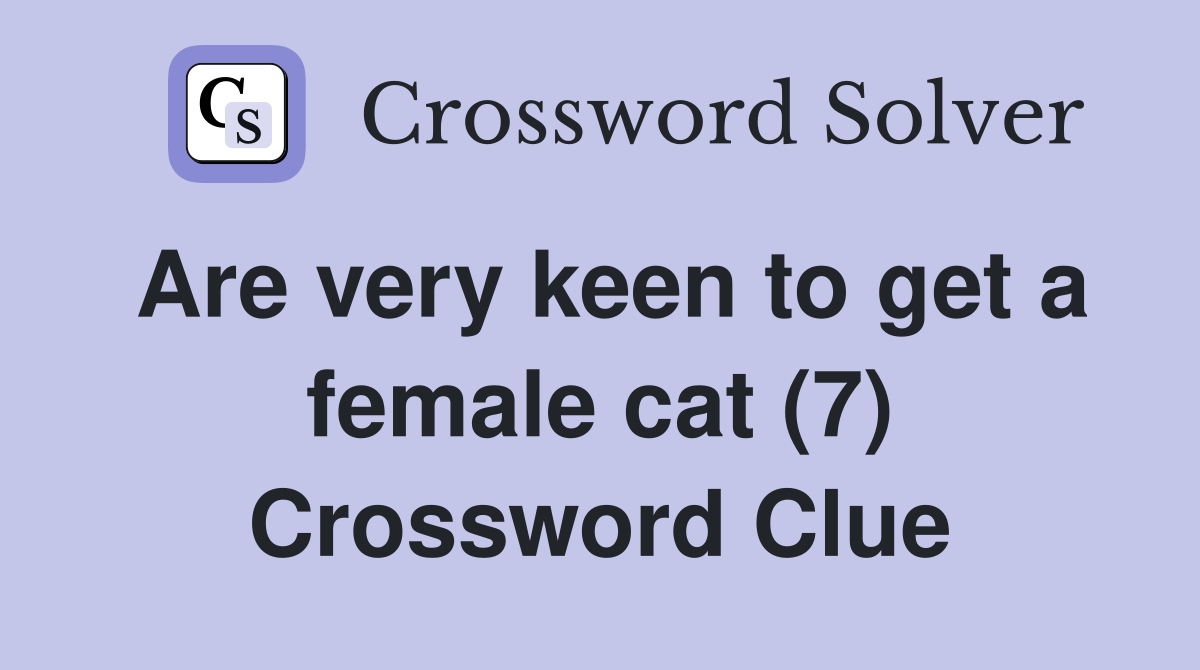 Are very keen to get a female cat (7) Crossword Clue