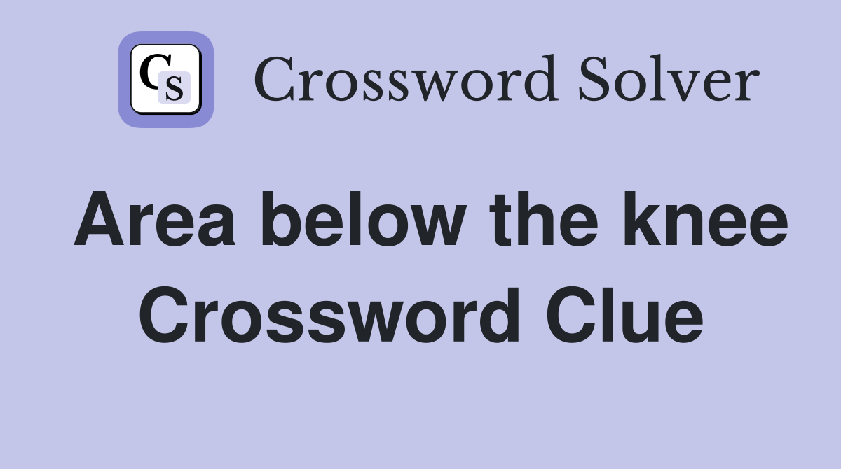 Area below the knee Crossword Clue