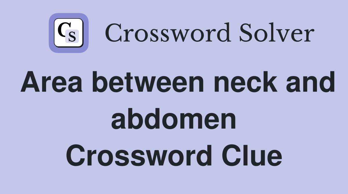 Area between neck and abdomen Crossword Clue