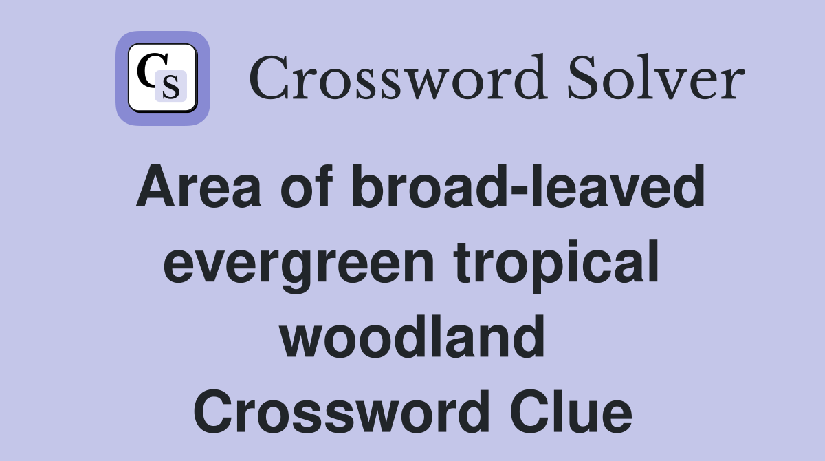 Area of broad-leaved evergreen tropical woodland Crossword Clue