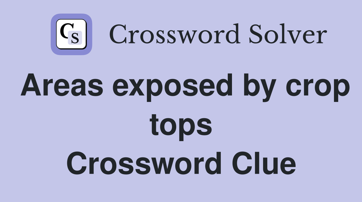 Areas exposed by crop tops Crossword Clue