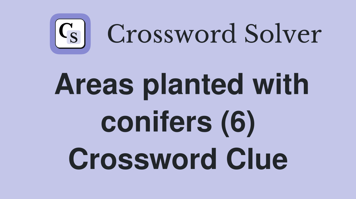 Areas planted with conifers (6) Crossword Clue