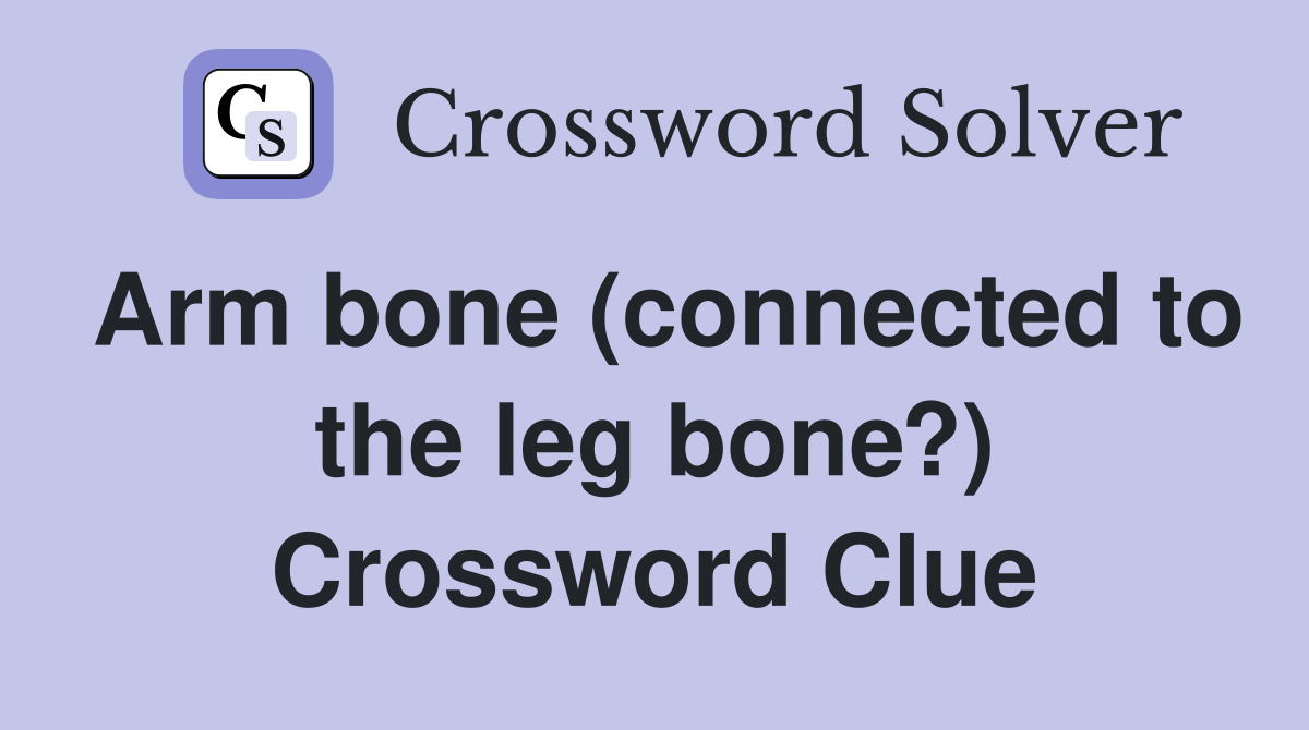 Arm bone (connected to the leg bone?) Crossword Clue