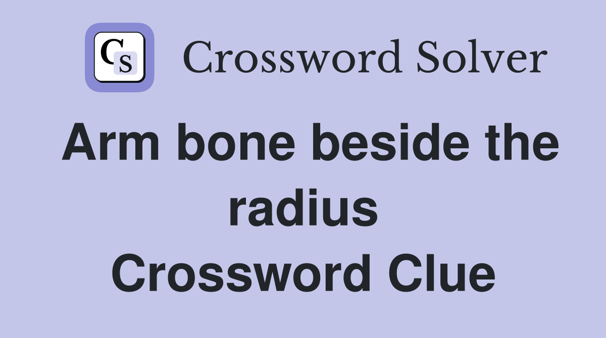 Arm bone beside the radius Crossword Clue