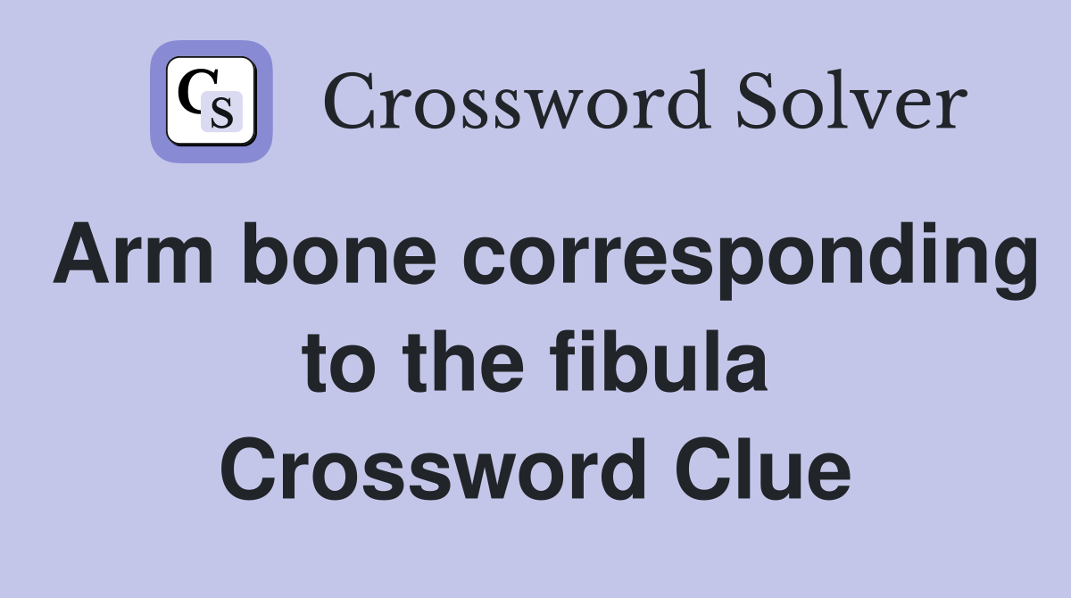 Arm bone corresponding to the fibula Crossword Clue