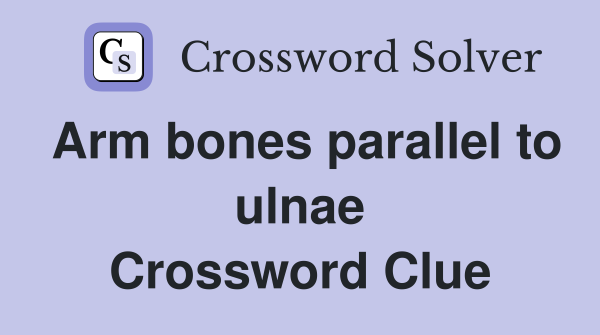 Arm bones parallel to ulnae Crossword Clue
