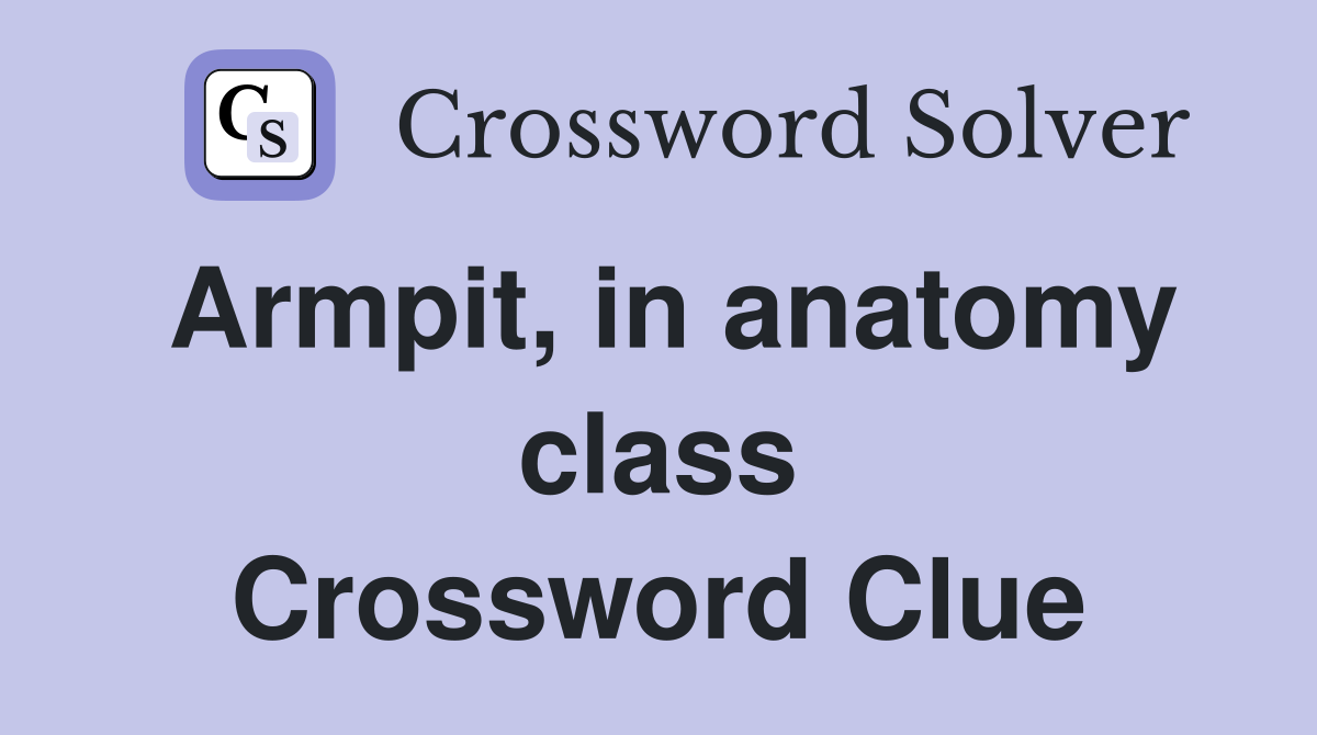 Armpit, in anatomy class Crossword Clue