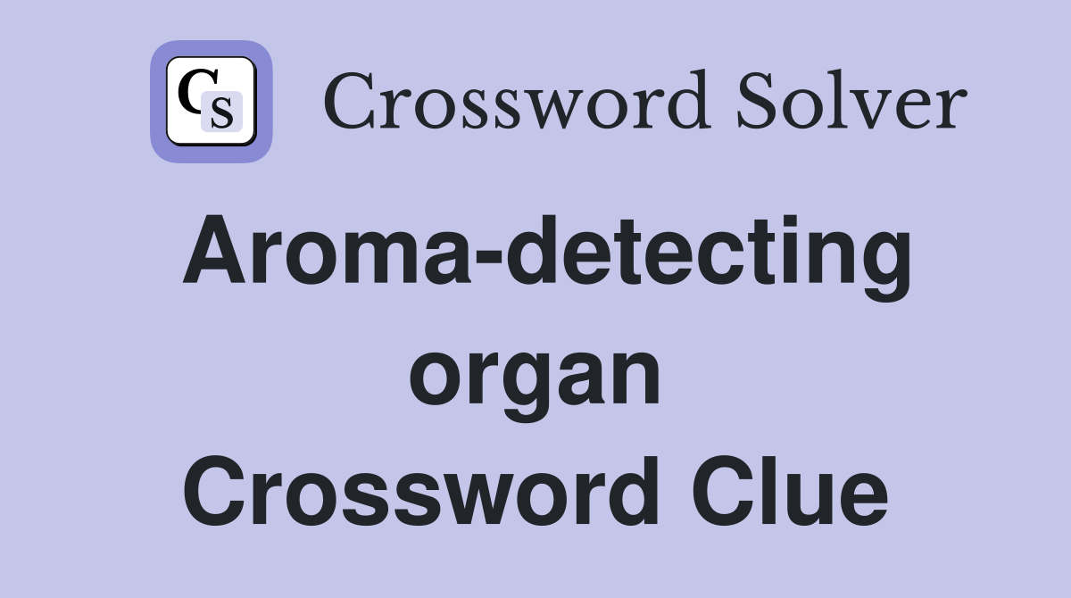 Aroma-detecting organ Crossword Clue