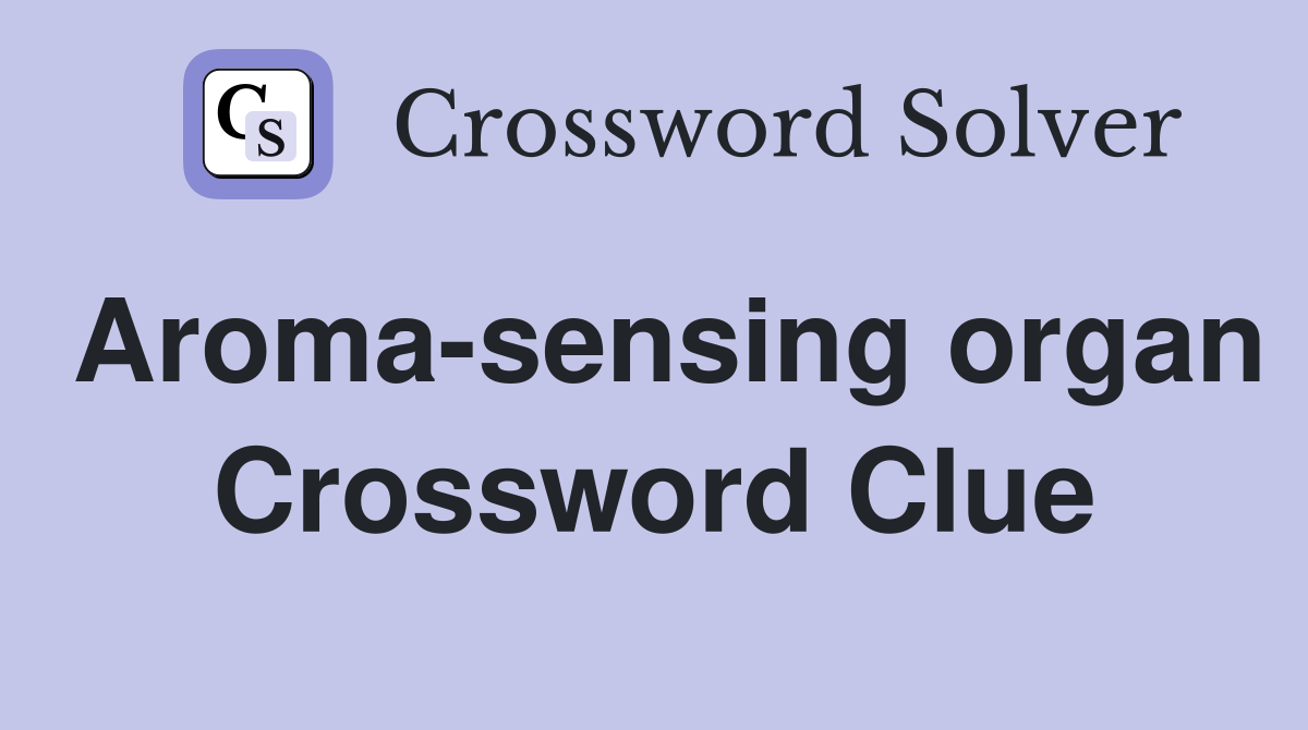 Aroma-sensing organ Crossword Clue
