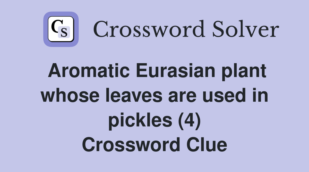 Aromatic Eurasian plant whose leaves are used in pickles (4) Crossword Clue