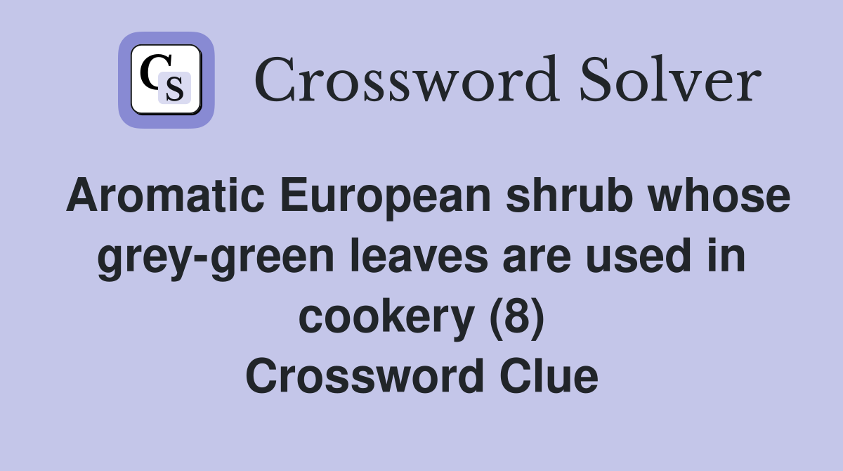 Aromatic European shrub whose grey-green leaves are used in cookery (8) Crossword Clue