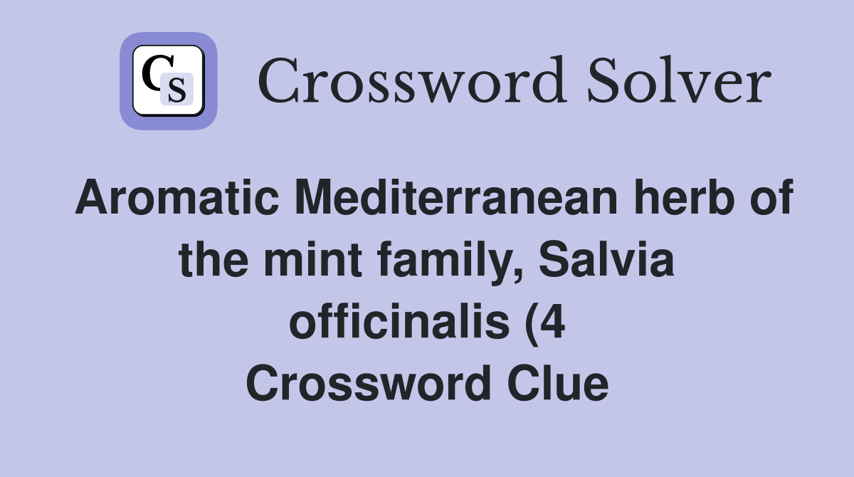 Aromatic Mediterranean herb of the mint family Salvia officinalis (4 Aromatic Mediterranean herb of the mint family Salvia officinalis (4