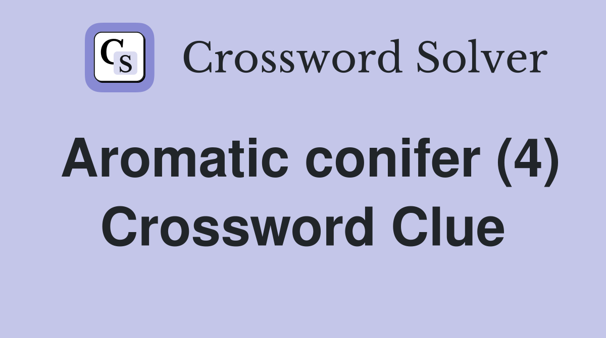Aromatic conifer (4) Crossword Clue