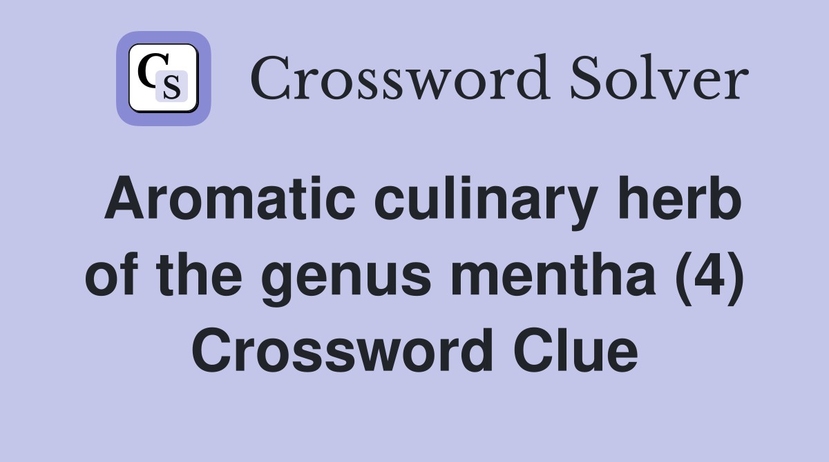 Aromatic culinary herb of the genus mentha (4) Crossword Clue