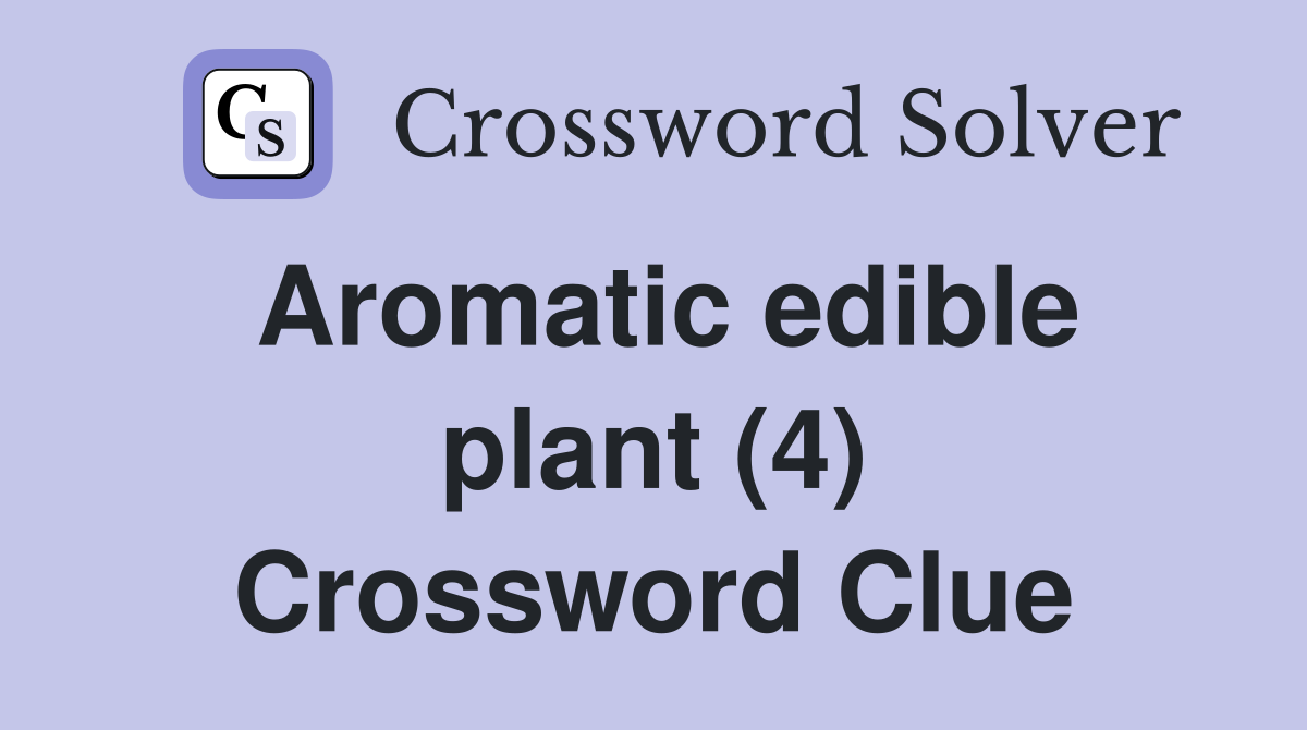 Aromatic edible plant (4) Crossword Clue