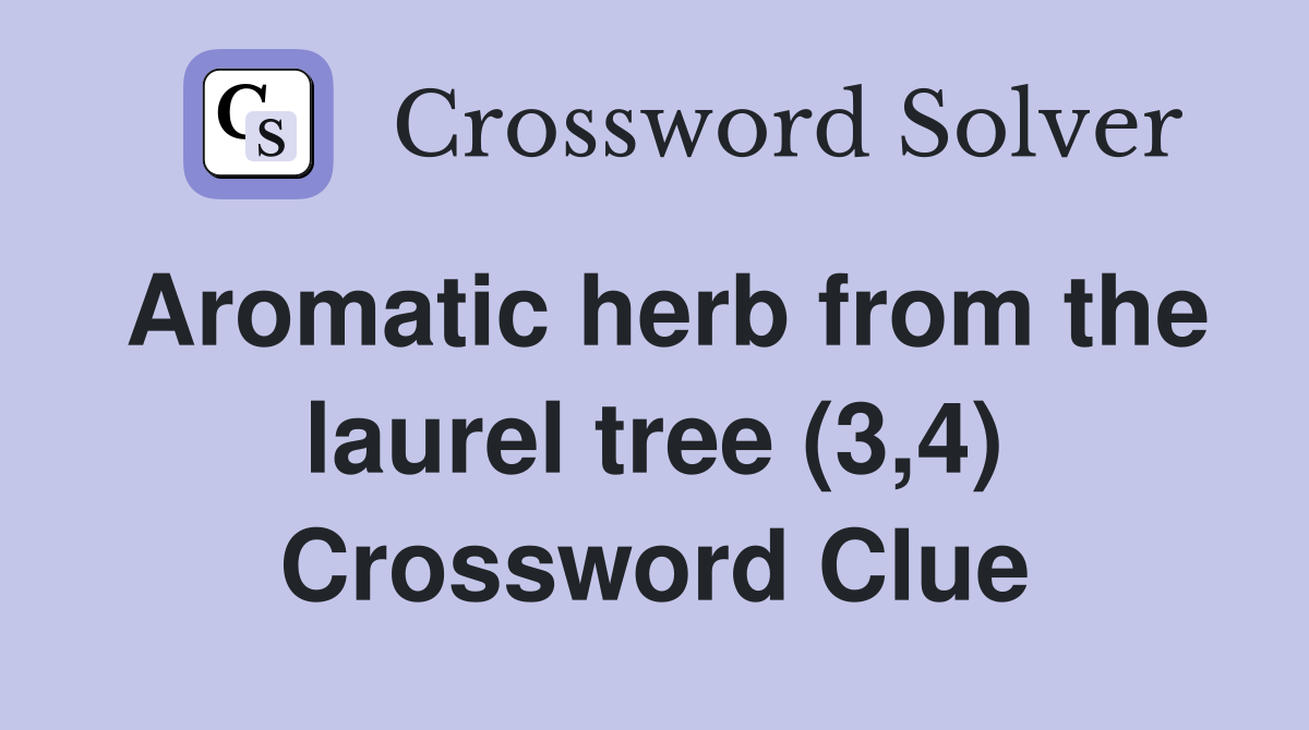 Aromatic herb from the laurel tree (3,4) Crossword Clue