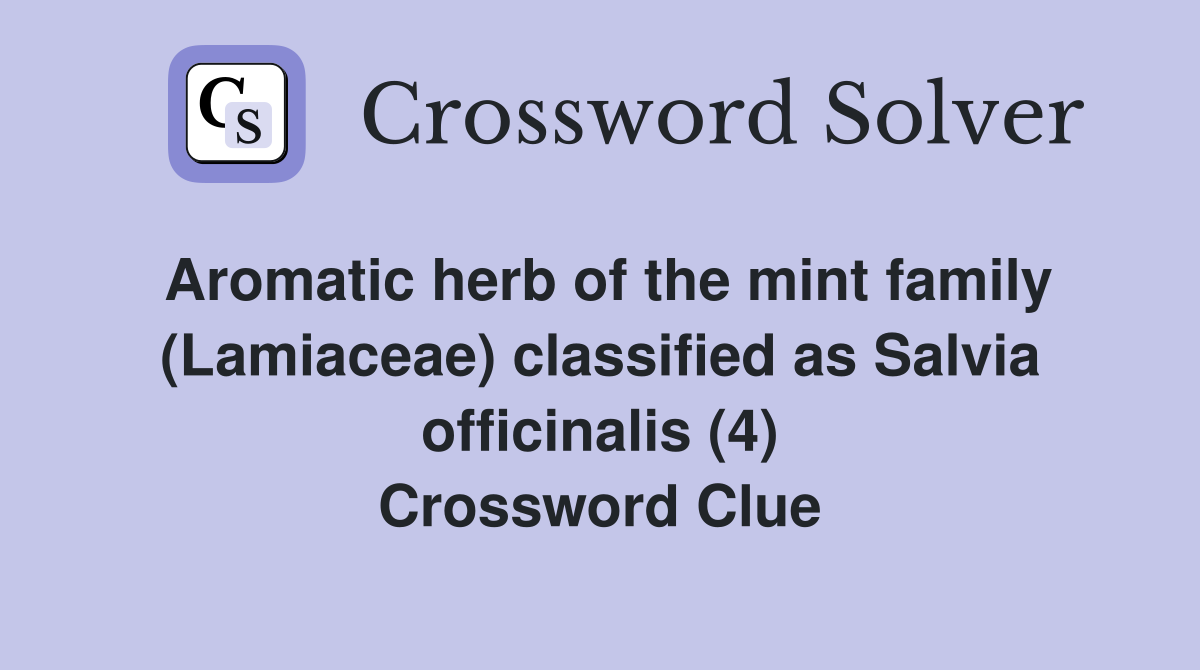 Aromatic herb of the mint family (Lamiaceae) classified as Salvia officinalis (4) Crossword Clue