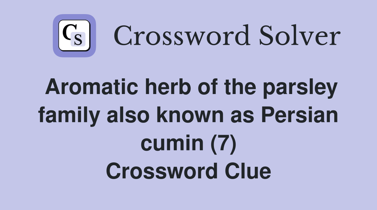 Aromatic herb of the parsley family also known as Persian cumin (7) Crossword Clue