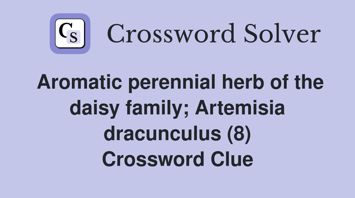 Aromatic perennial herb of the daisy family; Artemisia dracunculus (8) Crossword Clue